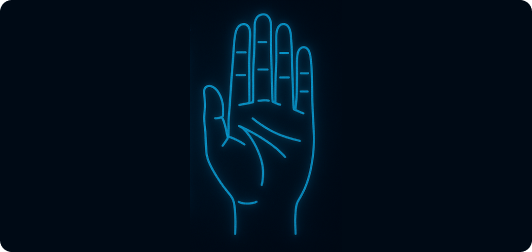 Palm Reading